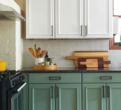 imageye___-_imgi_11_1-19