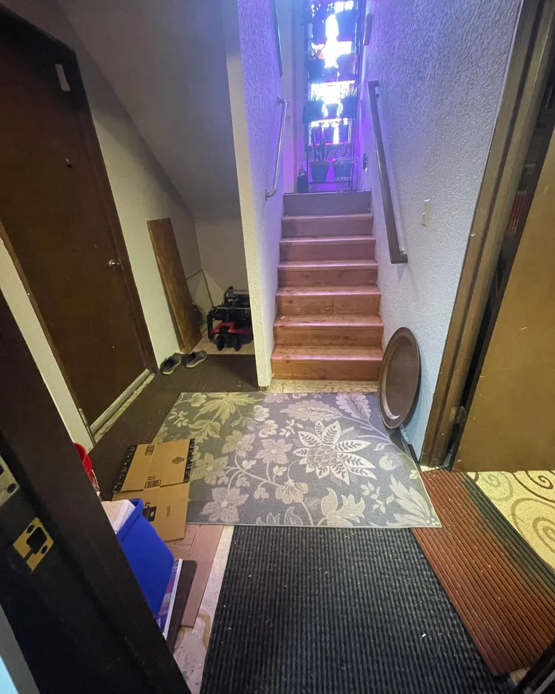 Backyard upgrade with an elegant dining area and overhead lighting
