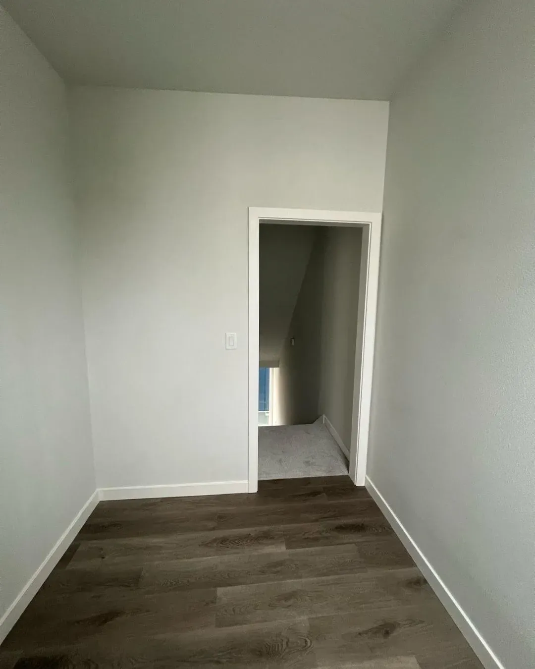 Backyard upgrade with an elegant dining area and overhead lighting